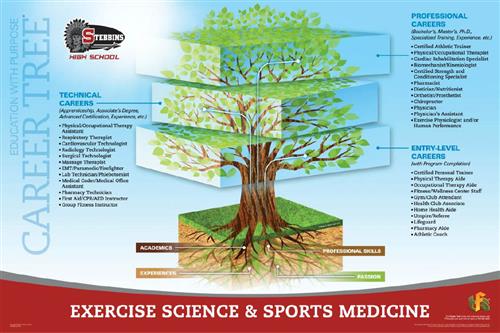 Sports Med Career Tree